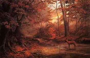 kd0805.jpg